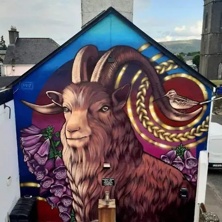 Accommodatie bij particulieren 'senan' Luxury Double Foxford