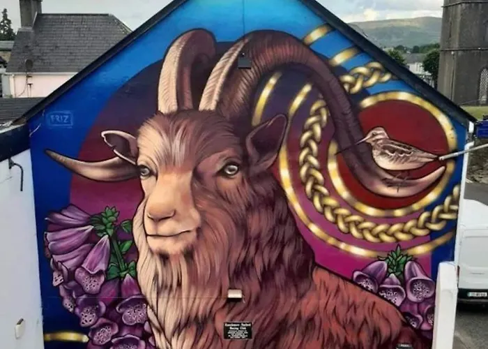 Alloggio in famiglia 'senán' Luxury Double Foxford