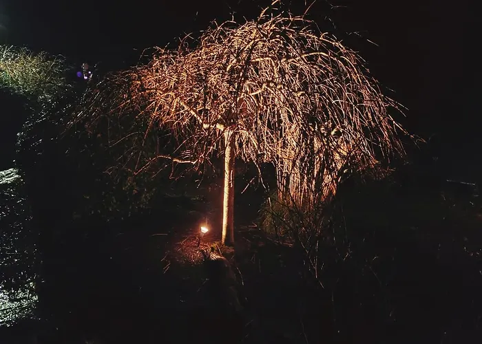 Alloggio in famiglia 'senán' Luxury Double